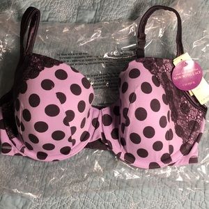 Cacique Cotton T-Shirt Bra NWT 36 DDD